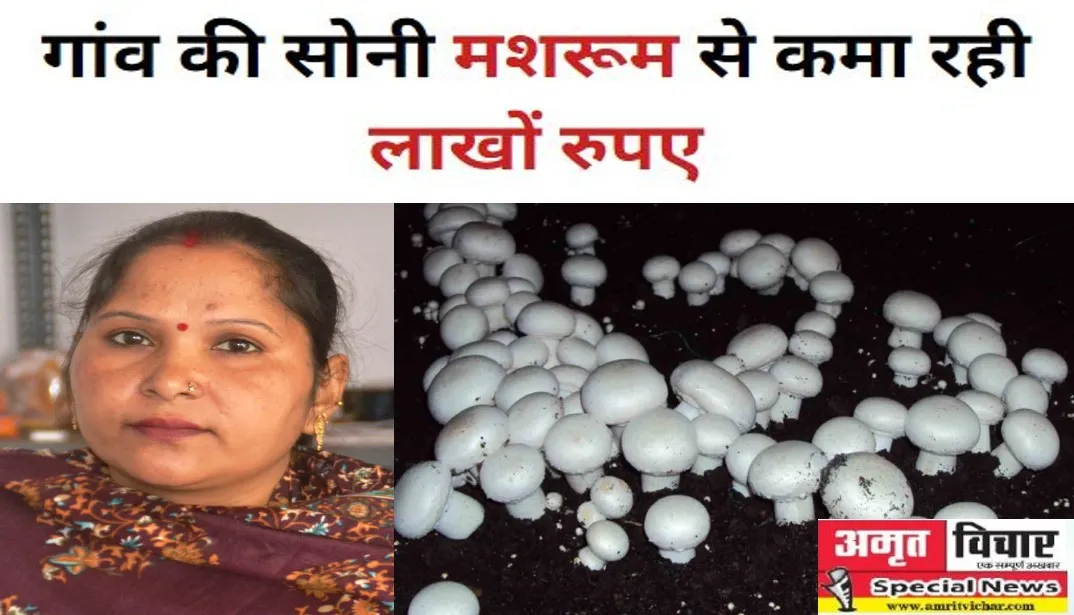 पीलीभीत: मशरूम की खेती से गांव की सोनी ने बदली किस्मत, कमा रही लाखों रुपए