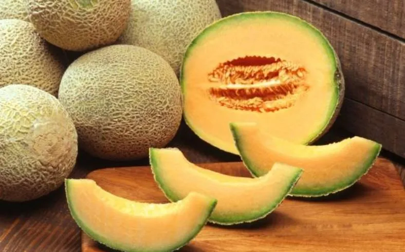Health Tips: गर्मियों में खाएं खरबूजा, मिलेंगे कई फायदे...इम्युनिटी भी होगी स्ट्रांग