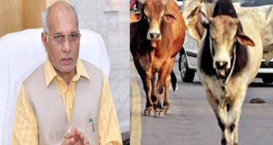 बदायूं: पशुधन मंत्री की गाड़ी के सामने आ गया गोवंश, हादसा होने से टला
