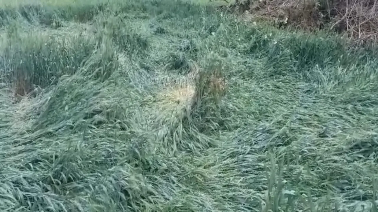 हरदोई में आकाशीय बिजली गिरने से महिला की मौत