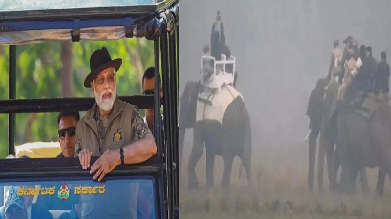 सुबह-सुबह काजीरंगा उद्यान में सैर पर निकले PM मोदी, हाथी और सफारी का उठाया लुत्फ 