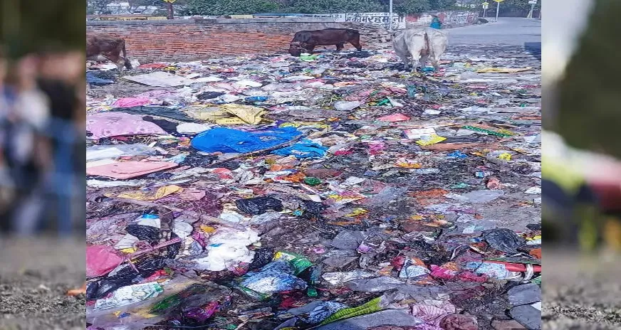 पीलीभीत: नगर पालिका के दावे हवाई, होली छोड़िए...अभी भी सड़कों पर नहीं सफाई