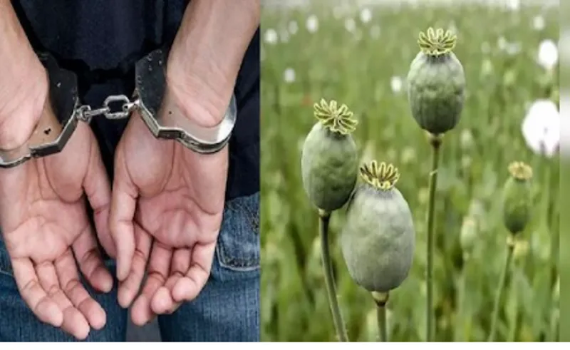 रुद्रपुर: एएनटीएफ व दिनेशपुर पुलिस ने अफीम के साथ दबोचे दो भाई