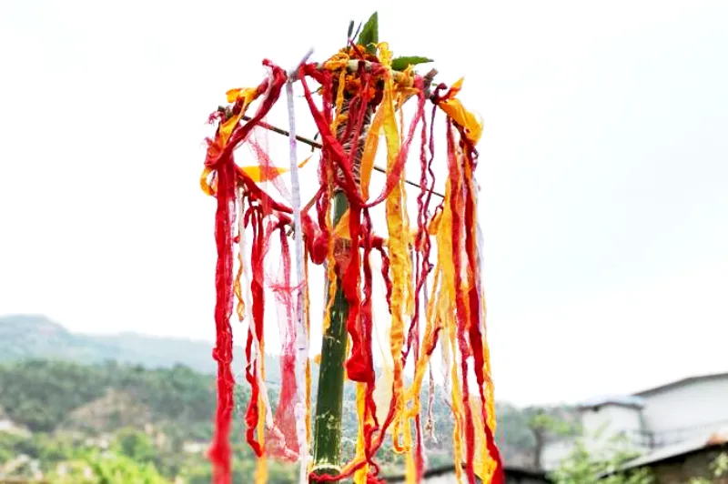 चम्पावत में चीर की चोरी, आरोपी चार युवकों का पुलिस एक्ट में हुआ चालान