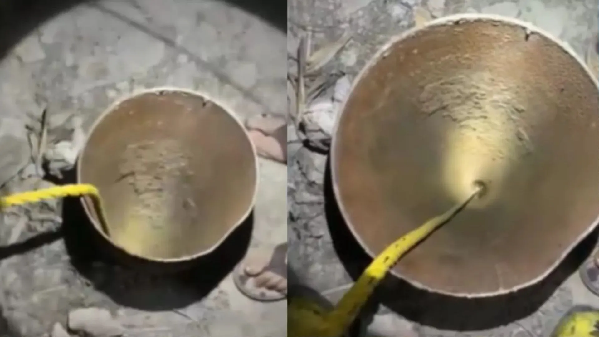 Delhi Borewell Accident: दिल्ली में बच्चा 40 फुट गहरे बोरवेल में गिरा, बचाव अभियान जारी 