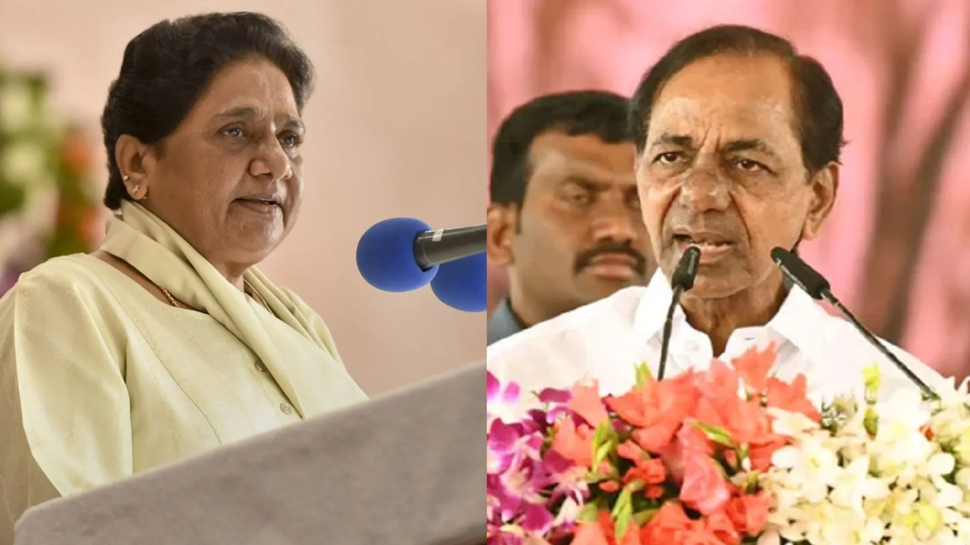 लोकसभा चुनाव: BRS के साथ गठजोड़ के तहत BSP तेलंगाना में उतारेगी दो सीट पर प्रत्याशी 