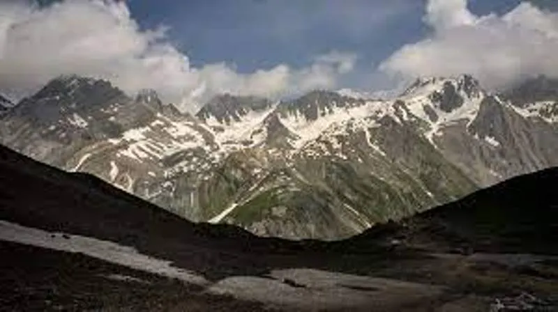 नैनीताल: हिमालय में जलस्रोतों के पास मिले औषधीय गुणों से भरपूर दो कवक,  उर्वरक क्षमता व जैविक खाद बनाने में होंगे सहायक 