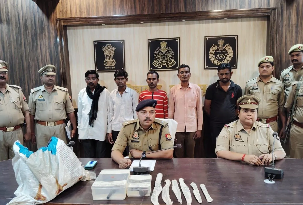 Chitrakoot: गोकशी के आरोप में पांच गिरफ्तार, असलहे और औजार बरामद...मानिकपुर पुलिस को मिली कामयाबी