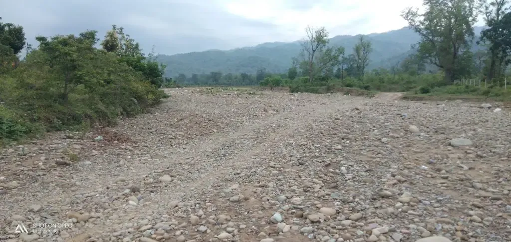 हल्द्वानी: सांसद के गोद लिए गांव विजयपुर में सड़क न होने से कुंवारे रह रहे लड़के