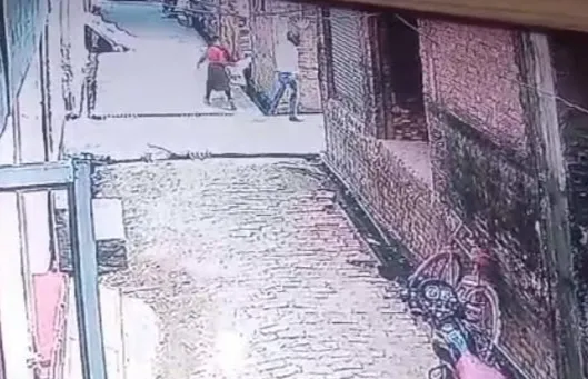 Auraiya में बदमाश बेखौफ...दिनदहाड़े छात्रा का अपहरण करने का किया प्रयास, पूरी घटना CCTV में कैद