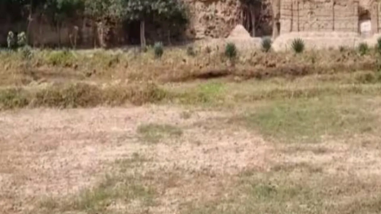 Kanpur Dehat: वन दरोगा पर विभाग की जमीन पर मकान बनाने का आरोप, एसडीएम ने मामले में जांच के दिए आदेश