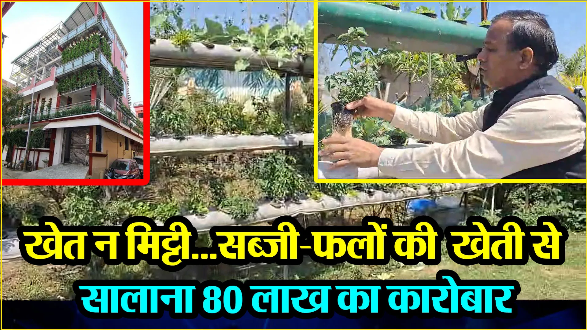 बरेली: खेत न मिट्टी...सब्जी-फलों की खेती से सालाना 80 लाख का कारोबार