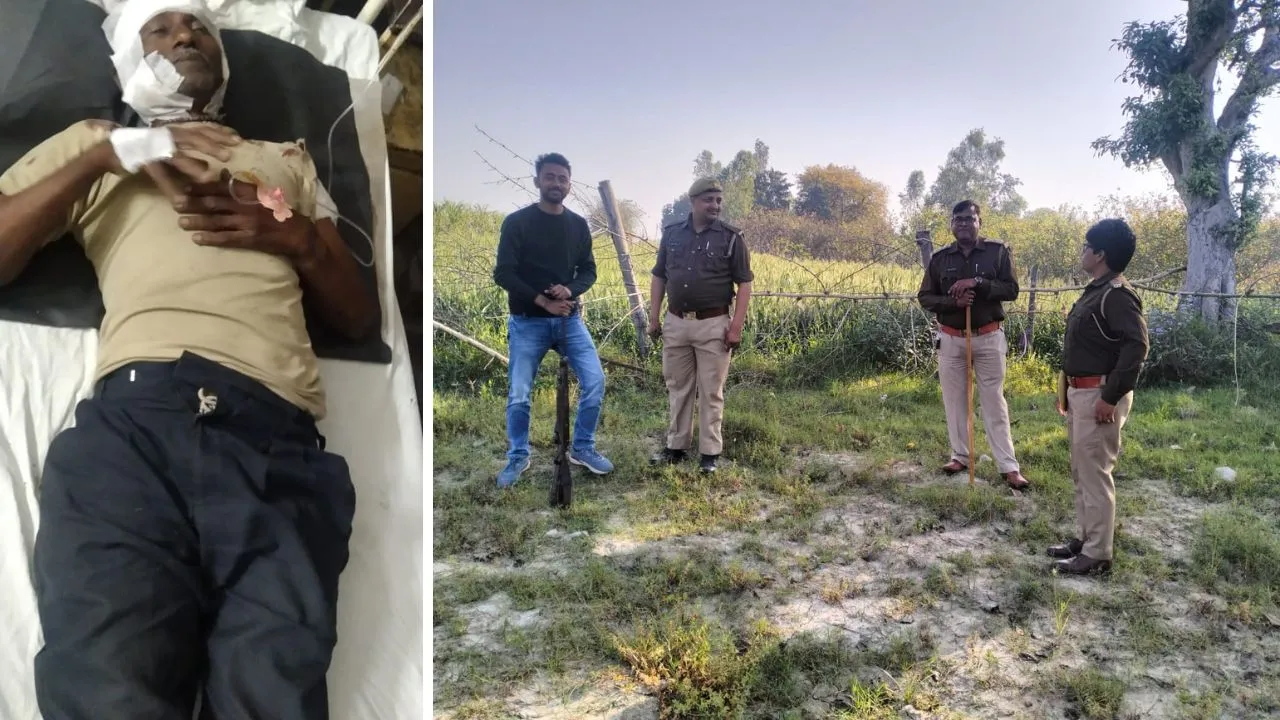 Unnao: किसान पर हमले के बाद वन विभाग की टीम ने खेतों और जंगलों में की कांबिंग...हायना या लकड़बग्घा के जैसे पैरों के निशा