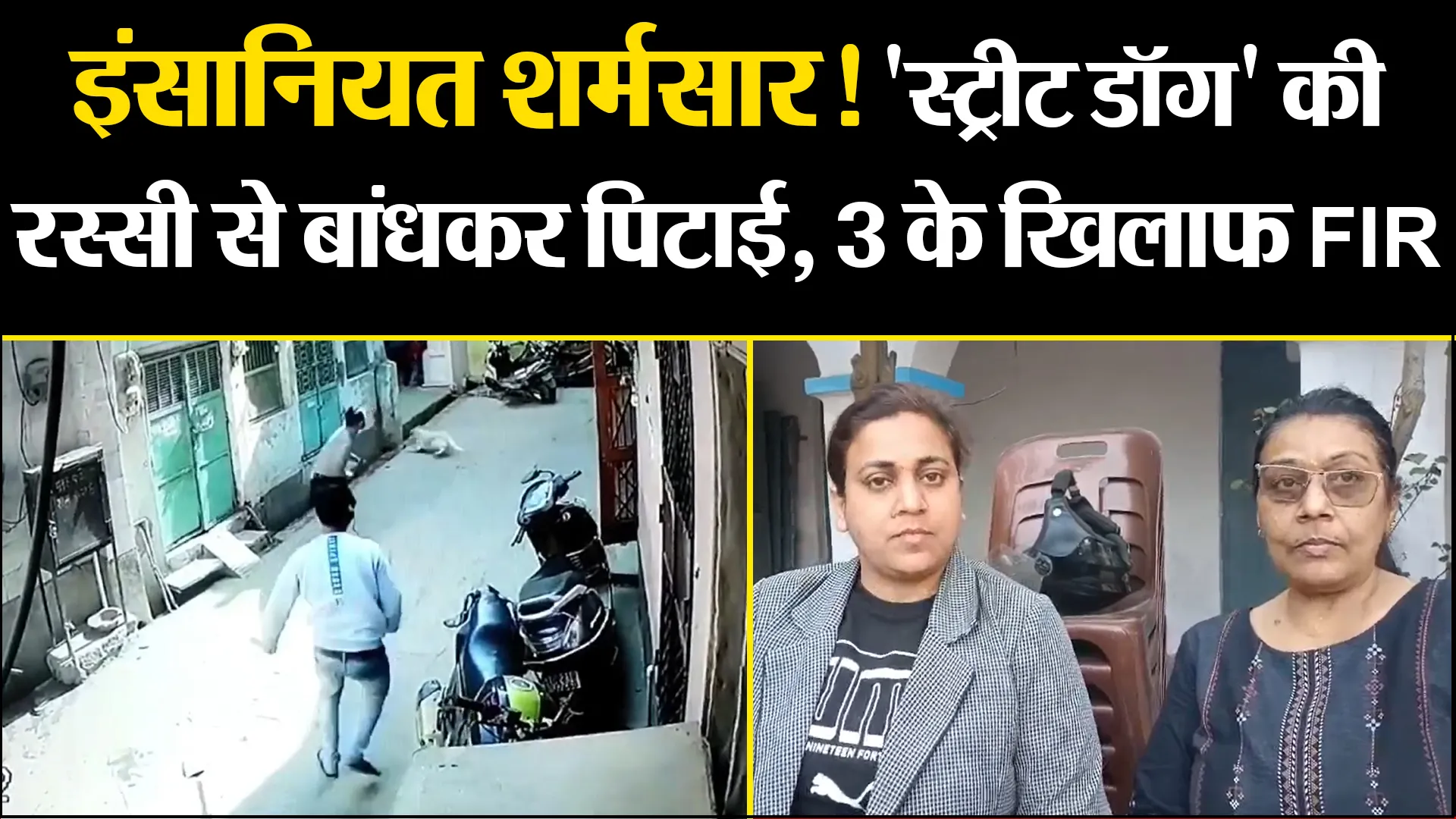 मुरादाबाद: इंसानियत शर्मसार! 'स्ट्रीट डॉग' की रस्सी से बांधकर पिटाई, 3 के खिलाफ FIR