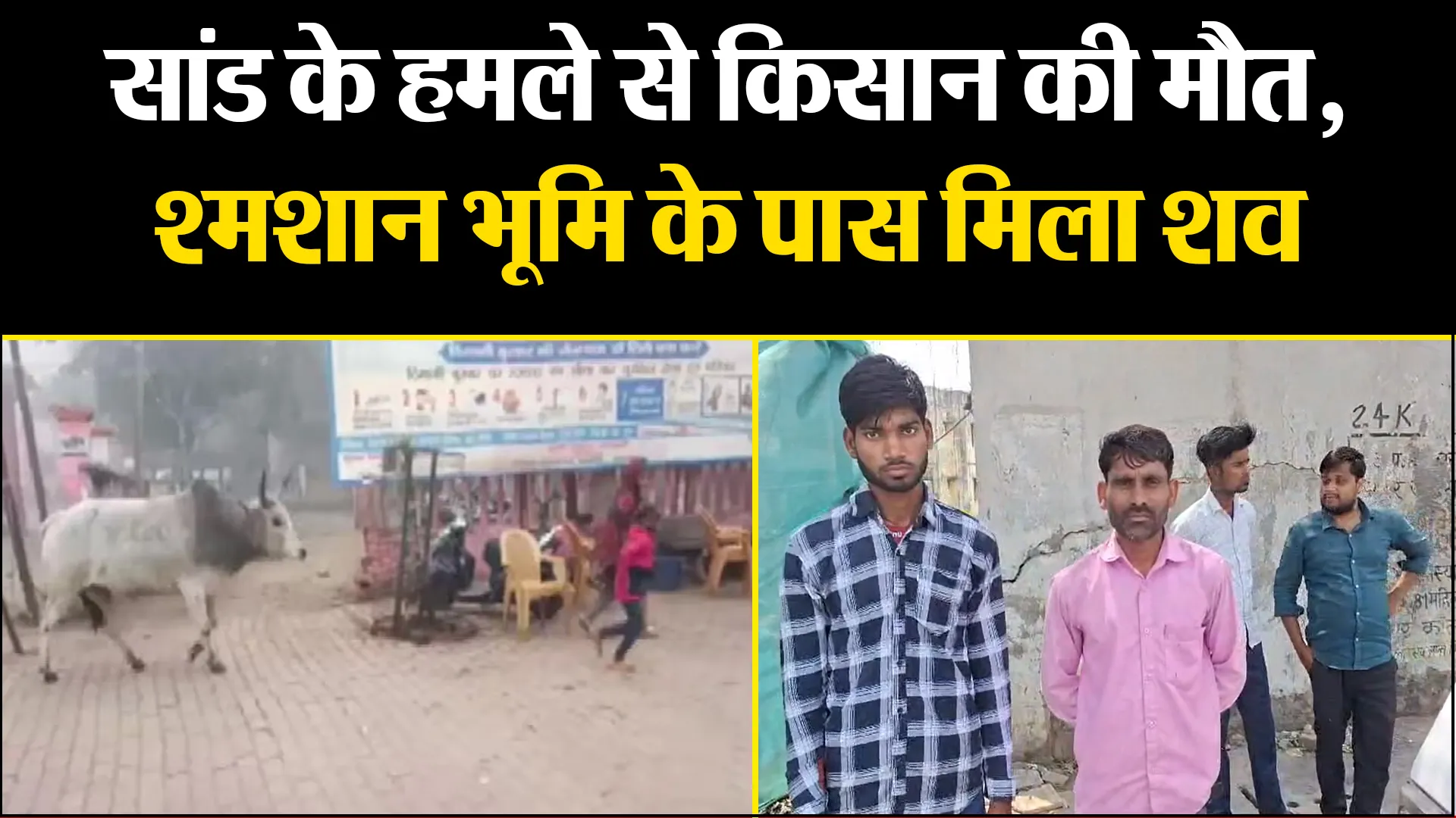बरेली: सांड के हमले से किसान की मौत, श्मशान भूमि के पास मिला शव