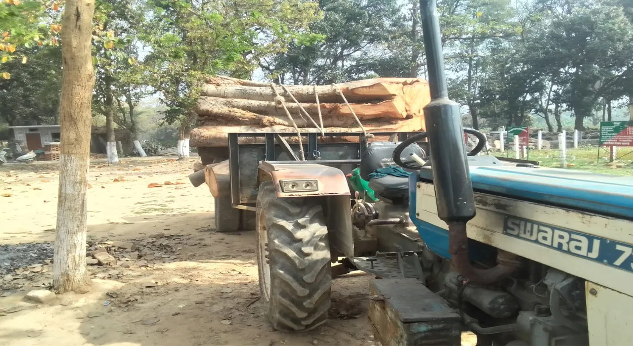 बहराइच: वन विभाग ने पकड़ी प्रतिबंधित लकड़ी, ट्रैक्टर को किया सीज, जानें पूरा मामला?