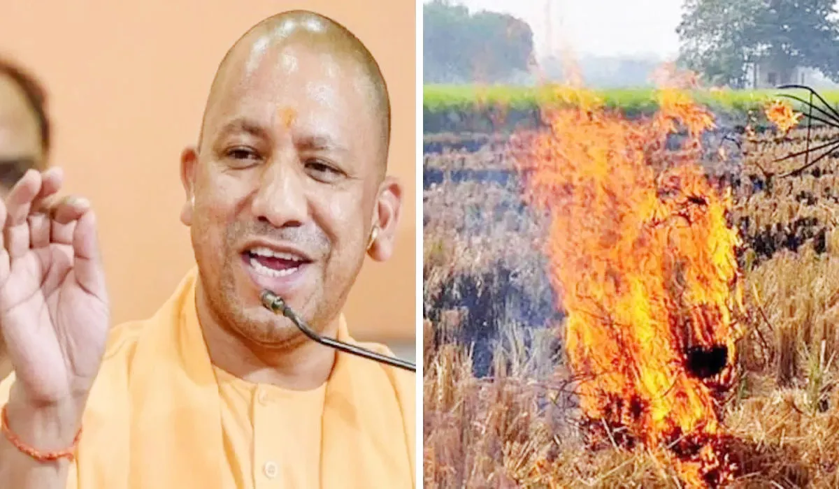 रुकिए, सोचिए, आप पराली नहीं अपनी 'किस्मत' खाक करेंगे!, इसे जलाने की जगह यहां करें उपयोग, होंगे मालामाल!