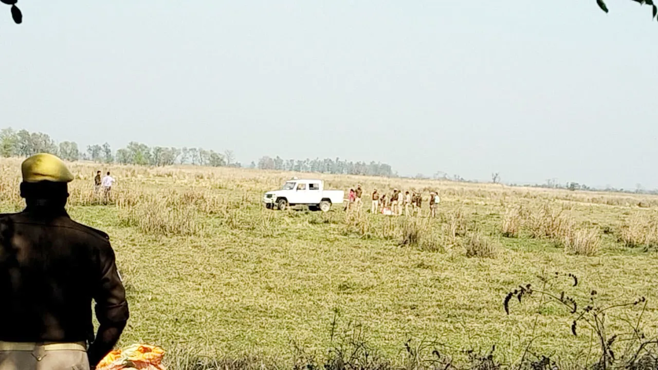 बहराइच: जंगल के निकट मृत मिला बाघ, कुछ दिन पुराना बताया जा रहा शव, वन विभाग मौके पर पहुंचा, शुरू की जांच