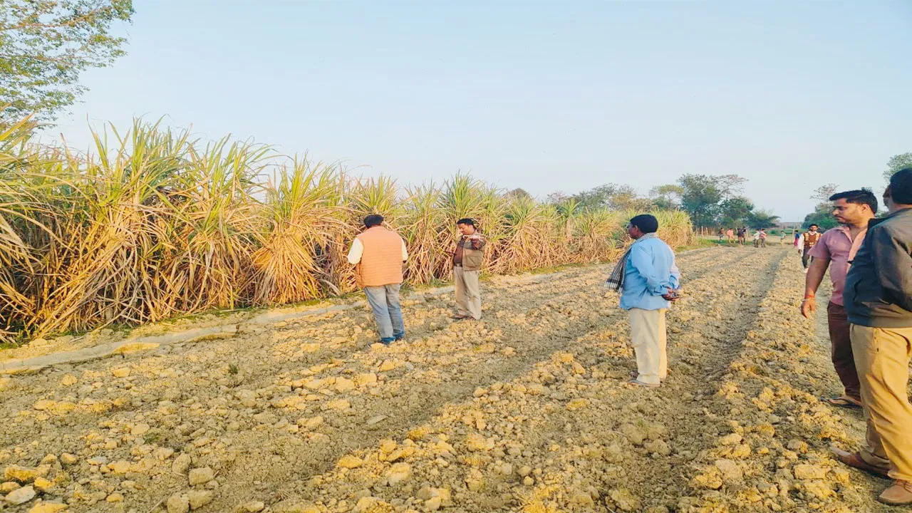बहराइच: बाघ और तेंदुए के बाद अब जिले में हो रहे भेड़िये के हमले, कइयों को कर चुके घायल, वन विभाग पकड़ने में नाकाम