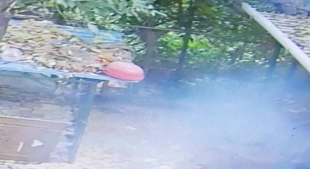 प्रयागराज: उमेश पाल के घर के पीछे गौशाले में चला बम, पुलिस ने तीन आरोपितों को हिरासत में लिया, कर रही पूछताछ, VIDEO