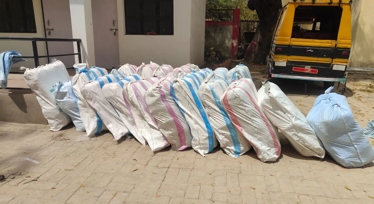 रायबरेली: ऊंचाहार में पकड़ी गई बड़ी नशे की खेप!, साढ़े पांच करोड़ रुपए कीमत का गांजा किया बरामद