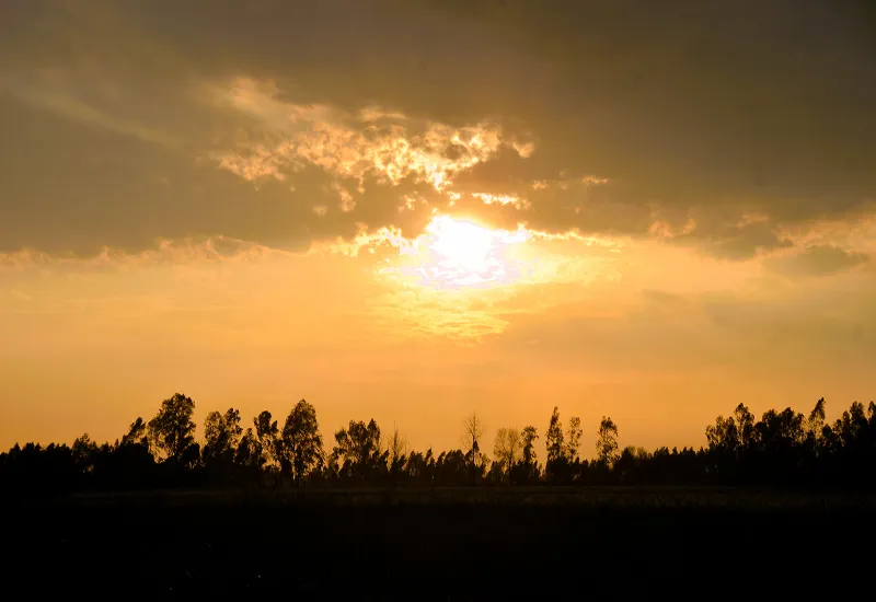 मुरादाबाद: बारिश ने फिर कराया ठंड का अहसास, गिरा पारा 