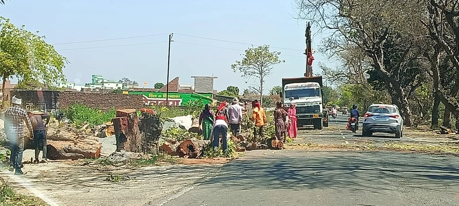 कासगंज: विकास की भेंट चढ़ रही हरियाली, राज्यमार्ग के लिए काटे जा रहे पेड़