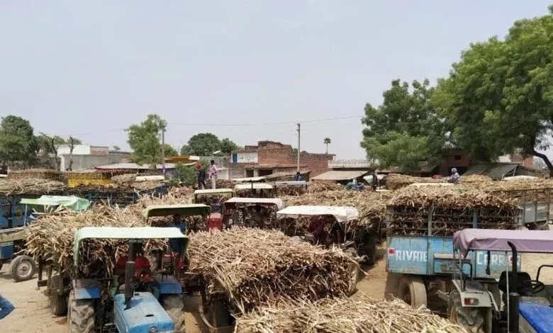 लखीमपुर खीरी: ट्रॉली न गन्ना.. फर्जी तौल कर मिल को लगा रहे थे लाखों का चूना