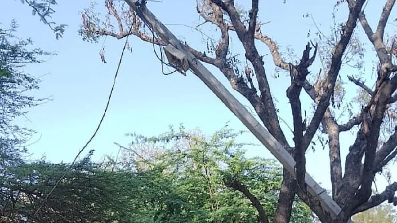 Etawah: तीन साल की मासूम ने पकड़ी हाईटेंशन बिजली लाइन; बचाने दौड़े पांच अन्य आए चपेट में, सभी की हालत गंभीर