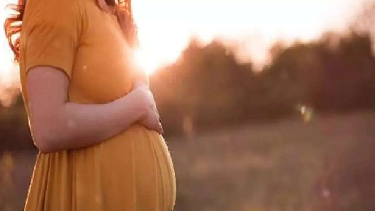 कानपुर में गर्भवतियों को हैलट के नहीं लगाने होंगे चक्कर, जच्चा-बच्चा अस्पताल में शुरू हुई यह सुविधा...