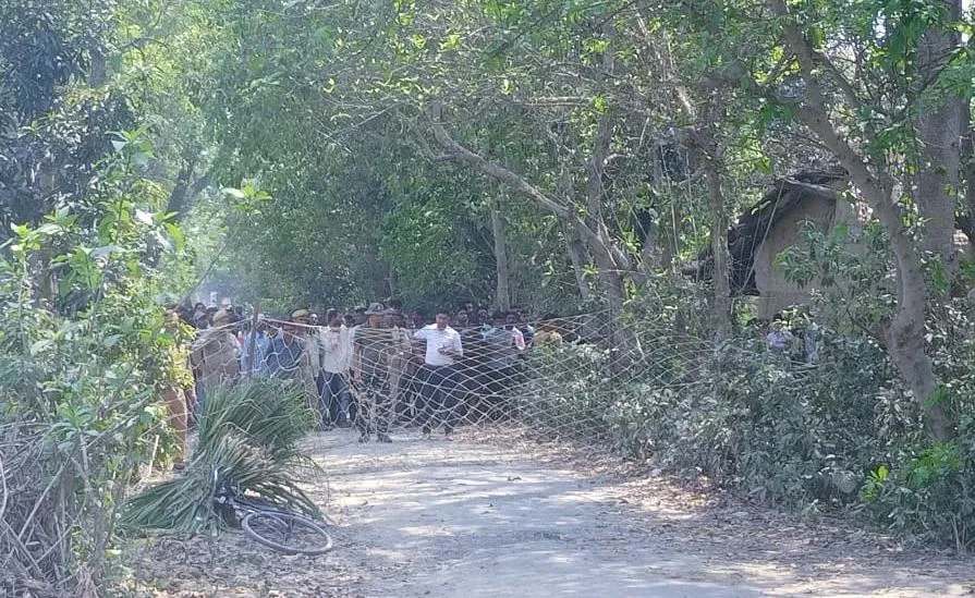 पीलीभीत: मकान के पास आकर बैठ गया बाघ, ग्रामीण घबराए...वनकर्मियों ने की रेस्क्यू की तैयारी