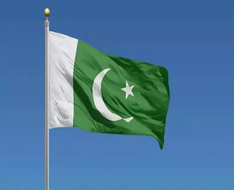 पाकिस्तान ने आम चुनाव में कथित धांधली की जांच कराने का अमेरिका का सुझाव किया खारिज 