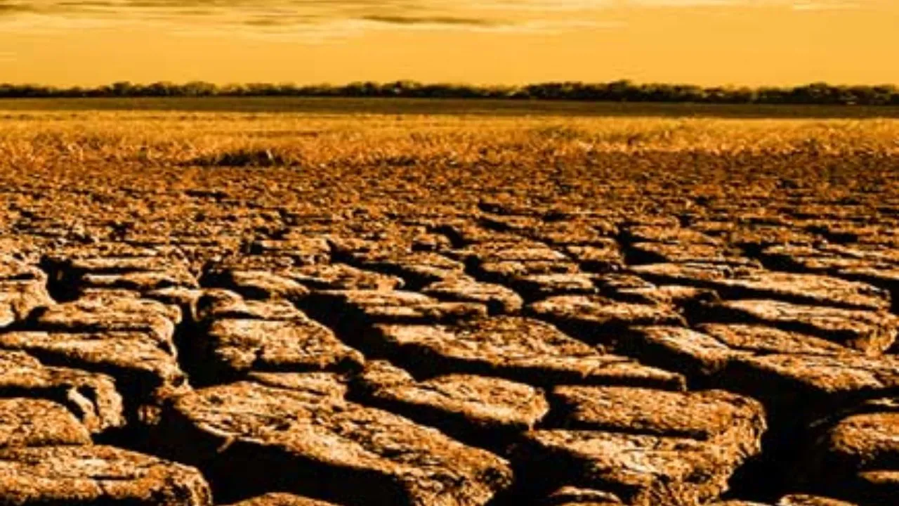 Kanpur: बंजर भूमि मामला: फर्जीवाड़े में दोषियों पर होगी कार्रवाई; प्रधानों और योजना प्रभारियों से कमेटी कर रही पूछताछ