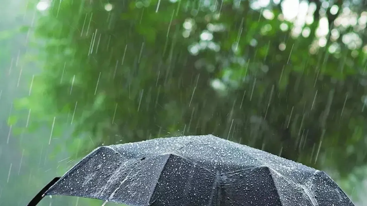 Kanpur Dehat Weather: आंधी के साथ हुई बूंदाबांदी; किसानों की बढ़ी बेचैनी, मौसम विभाग ने बताया- पांच दिन ऐसा रहेगा मौसम