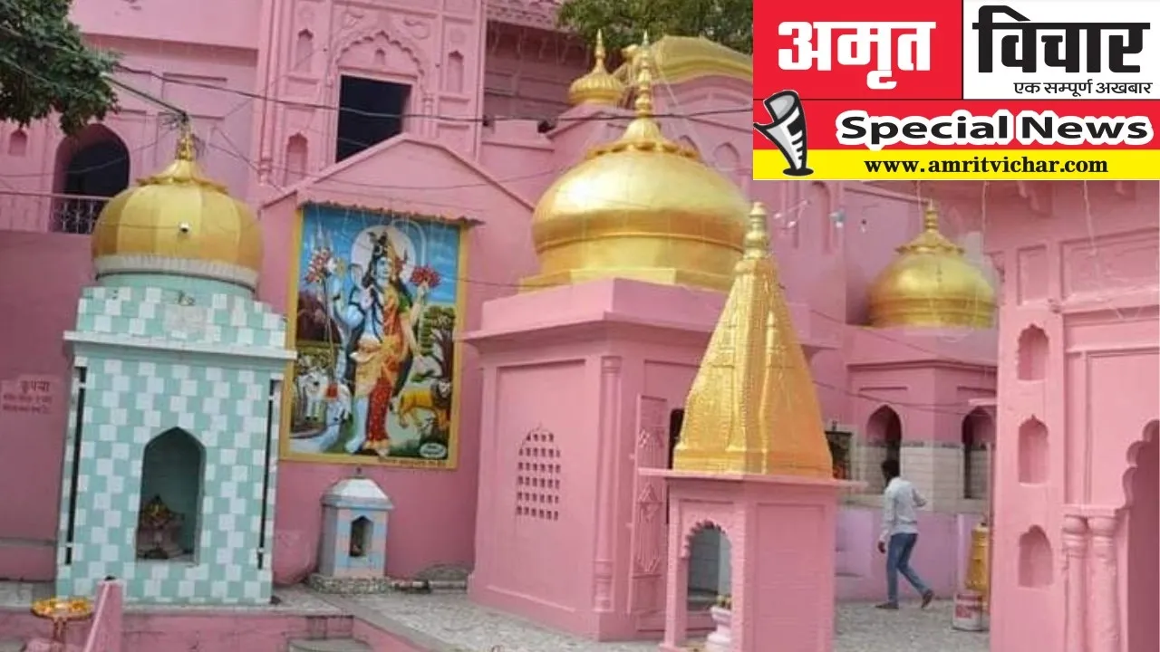 Maha Shivratri Special : एक चावल के बराबर हर साल बढ़ जाता शिवलिंग...मंदिर की अद्भुत है मान्यता, इस योग में करें पूजा