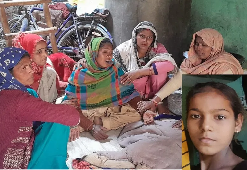 संभल : मधुमक्खियों के हमले से छात्रा की मौत, आम के बाग में घास काटते समय किया हमला