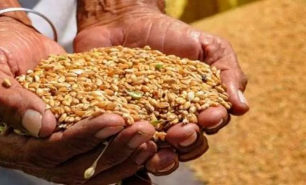 Bareilly News: कोटेदारों की मनमानी खत्म, अब इलेक्ट्रॉनिक कांटे से मिलेगा राशन