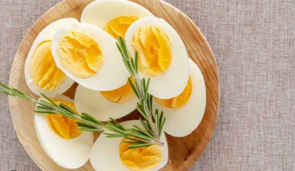 Bareilly News: 'आओ बताएं तुम्हें अंडे का फंडा...'अंडा वेज है या नॉनवेज?, जान लीजिए जरूरी बात 