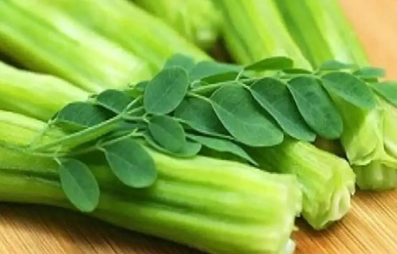 सहजन हमारी सेहत के लिए है बेहद लाभकारी, जानें इसके फायदे 