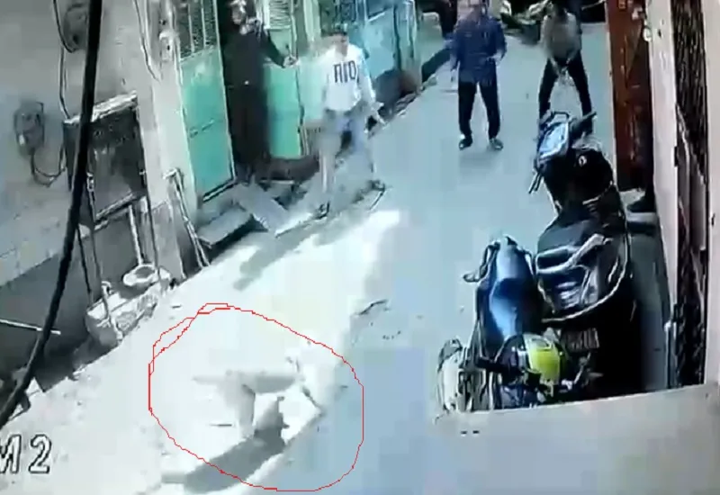 मुरादाबाद : फीमेल डॉग के गले में रस्सी डालकर पीटने वालों पर FIR, सामने आया VIDEO 