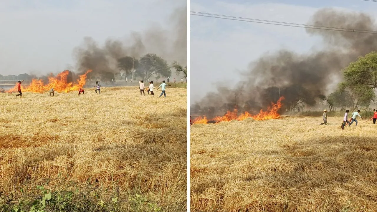 Kanpur Ghatampur Fire: दो अलग-अलग जगहों पर लगी आग, 90 बीघा गेहूं की फसल जलकर खाक