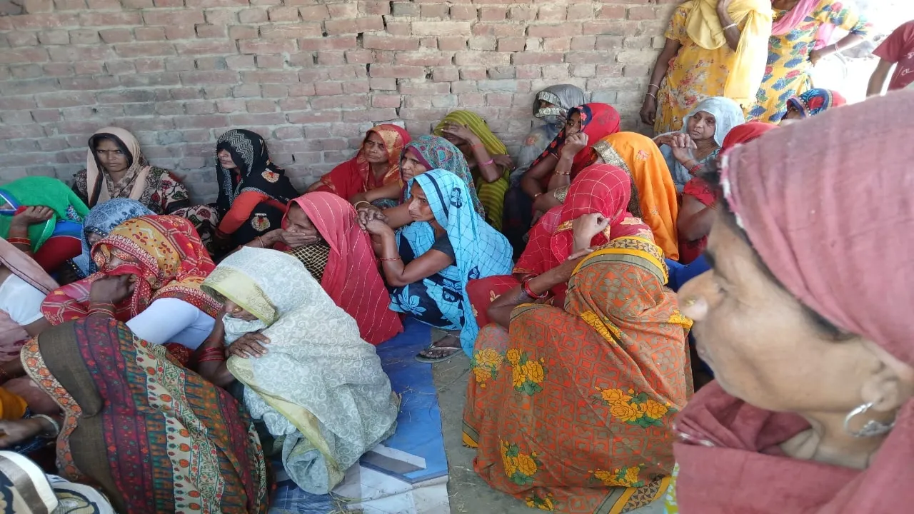 बहराइच में हादसा: मधुमक्खियों के झुंड ने किसान को घेरा, काटने से हुई मौत 