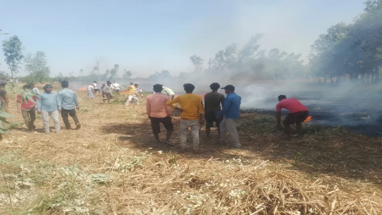 अयोध्या: 11 हजार लाइन का तार गिरा,जली गेहूं और गन्ने की फसल