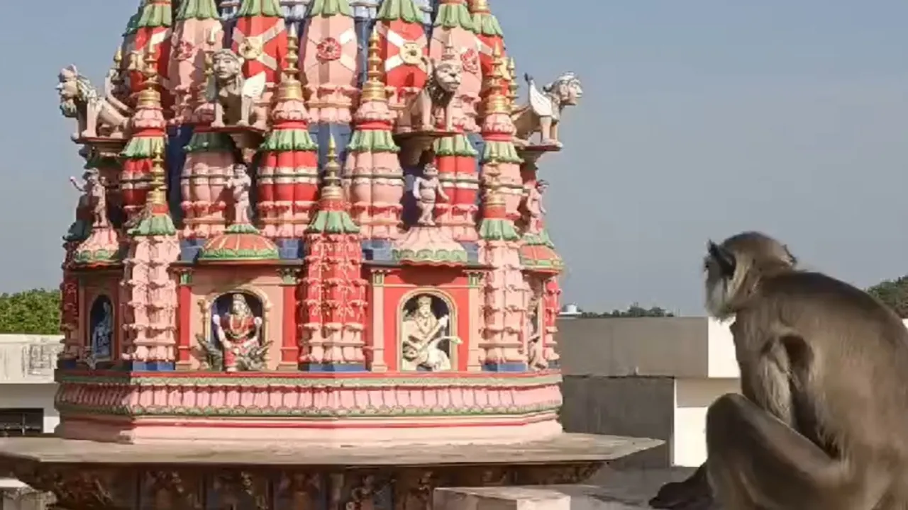 17 - 2024-04-11T192345.239