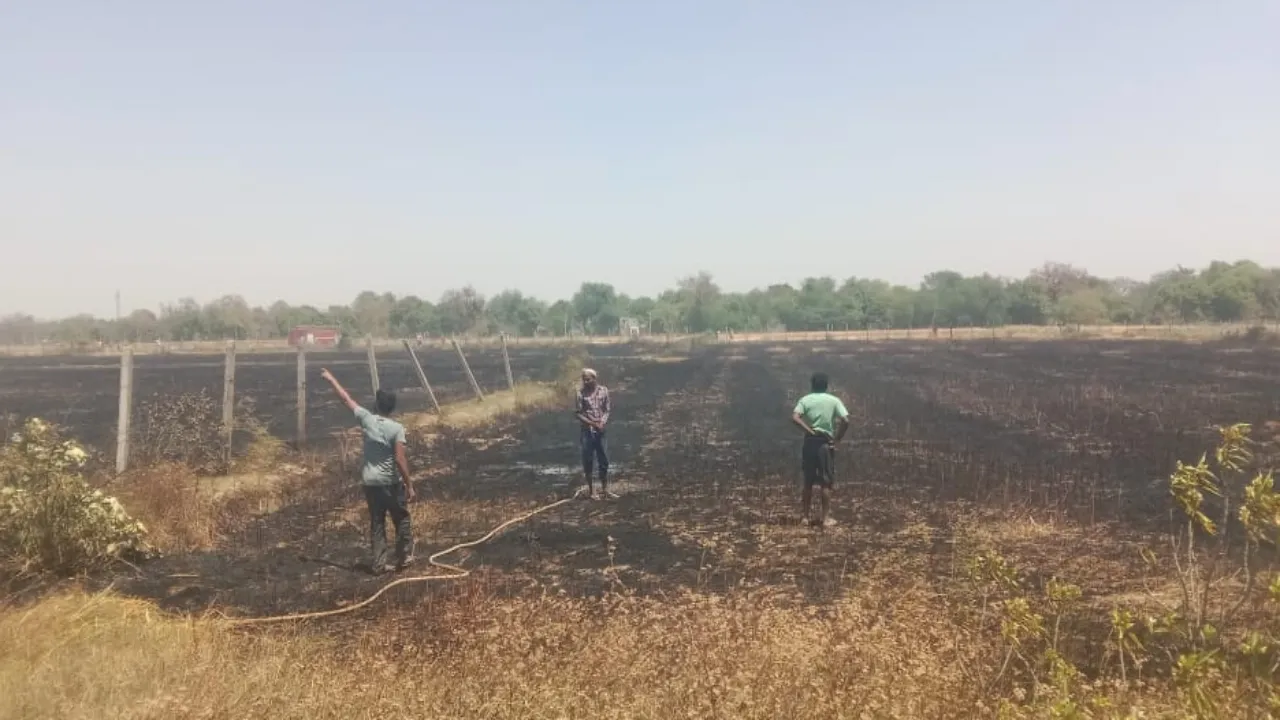 अमेठी में शॉर्ट सर्किट से लगी आग, 20 बीघा गेंहू का अवशेष जलकर खाक