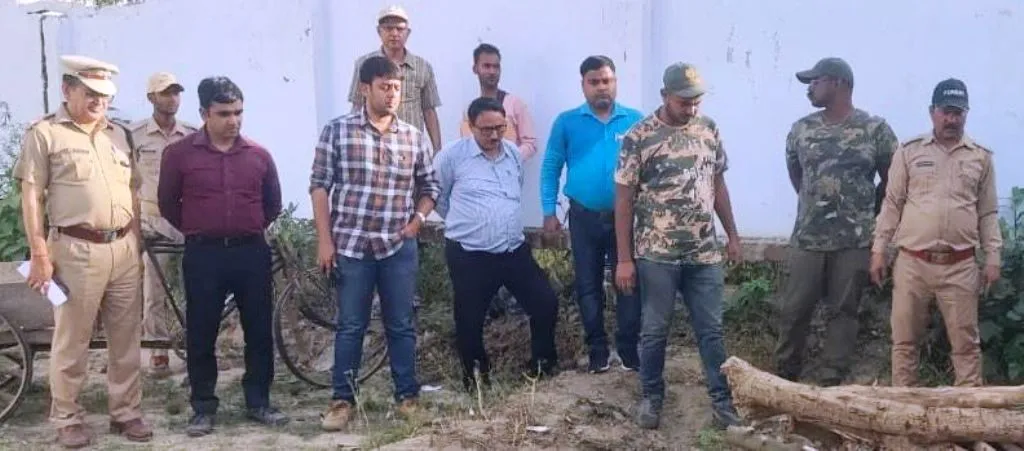 लखीमपुर खीरी: आपसी संघर्ष में दो युवा तेंदुओं की मौत, अलग-अलग खेतों से बरामद हुए शव 