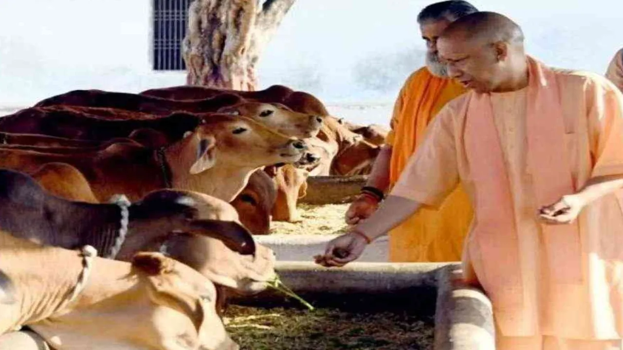 लखनऊ: 2024-25 में 4000 करोड़ से होगा पशुधन का संरक्षण, योगी सरकार ने बनाया ये खास Plan  