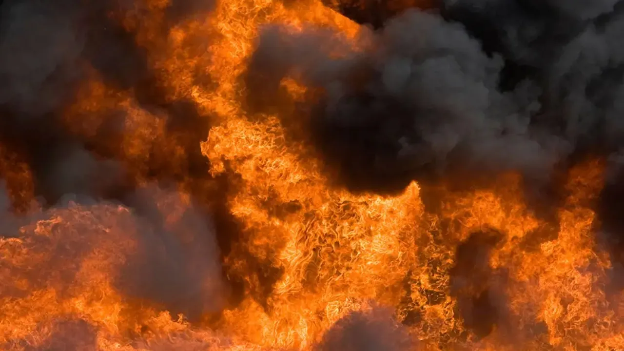 श्रावस्ती में अज्ञात कारणों से लगी, आग दो मवेशी झुलसे 