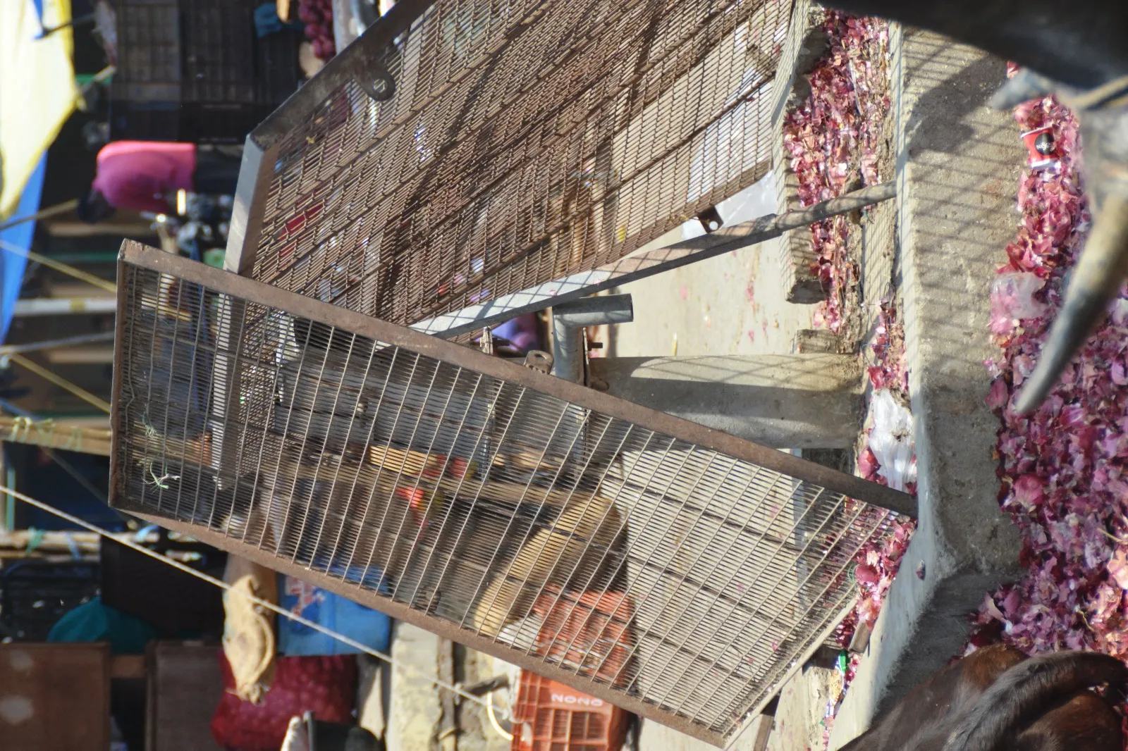 234adc67-590a-4bef-a12d-b5509a47d23a