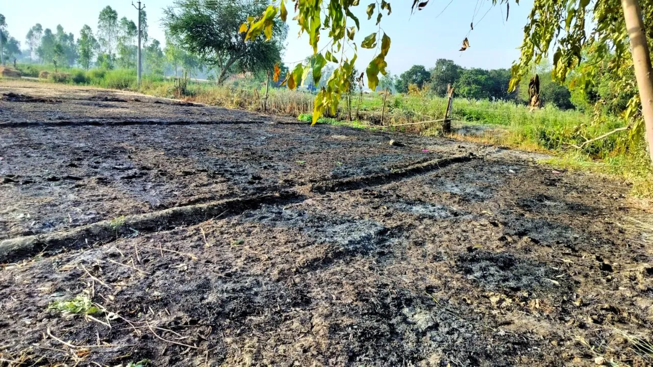 बाराबंकी: एचटी लाइन की चिंगारी से जली गेहूं की फसल, किसानों में आक्रोश
